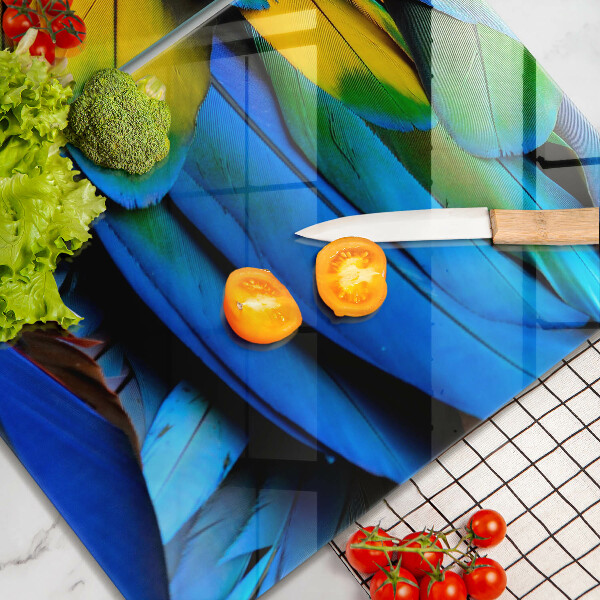 Copri piano cottura in vetro Piume di pappagallo colorate