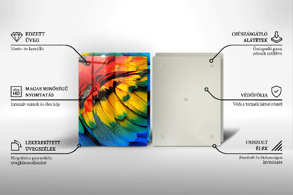 Copri piano cottura in vetro Piume di pappagallo colorate