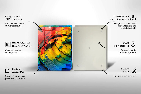 Copri piano cottura in vetro Piume di pappagallo colorate