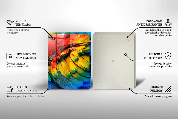 Copri piano cottura in vetro Piume di pappagallo colorate