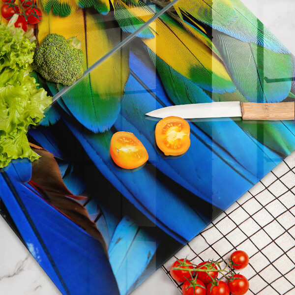 Copri piano cottura in vetro Piume di pappagallo colorate