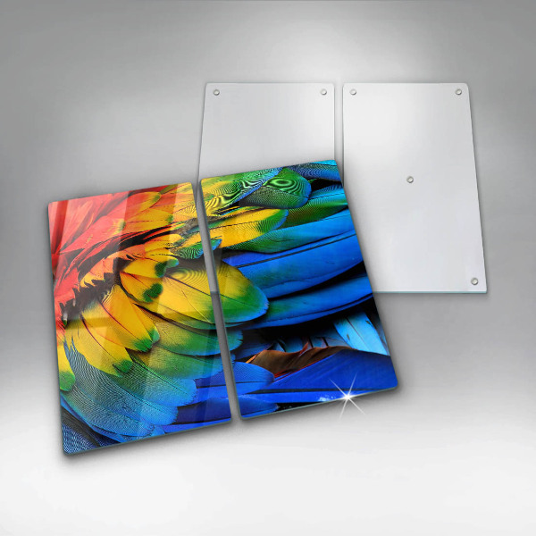 Copri piano cottura in vetro Piume di pappagallo colorate