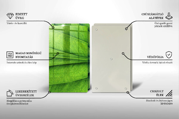 Copri piano cottura in vetro Foglia della vena naturale