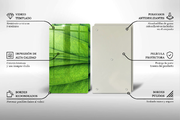 Copri piano cottura in vetro Foglia della vena naturale