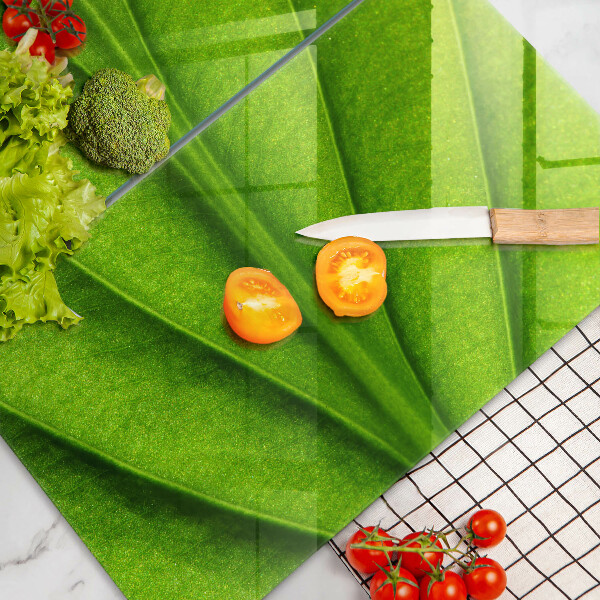 Copri piano cottura in vetro Foglia della vena naturale