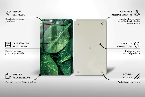 Copri piano cottura in vetro Foglie di basilico