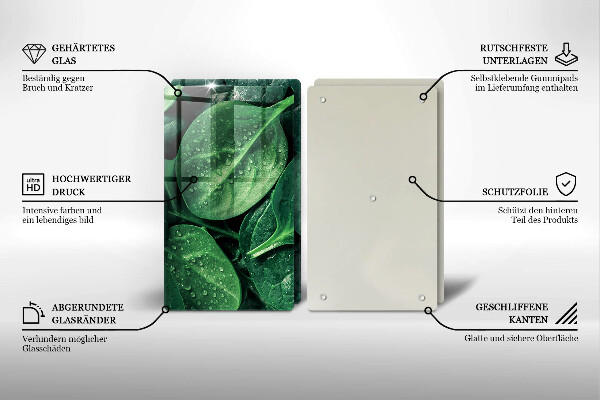 Copri piano cottura in vetro Foglie di basilico