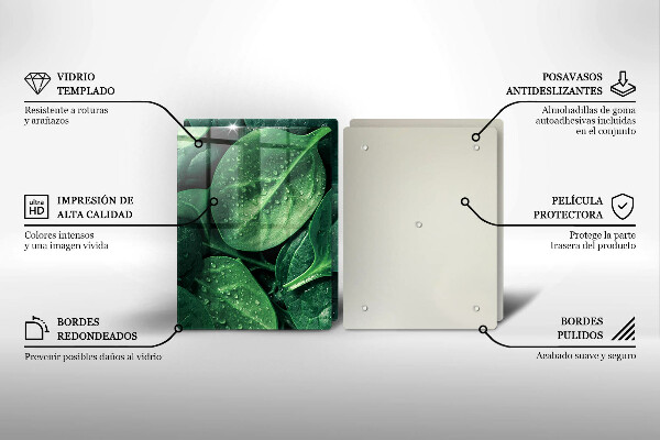 Copri piano cottura in vetro Foglie di basilico