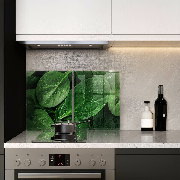 Copri piano cottura in vetro Foglie di basilico