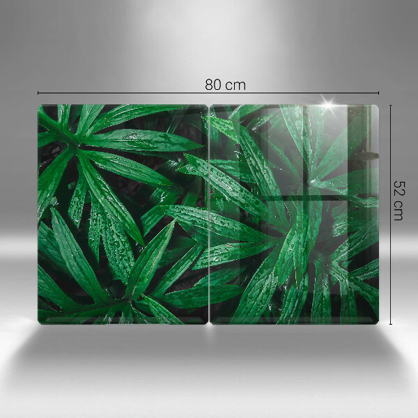 Copri piano cottura in vetro Foglie di piante