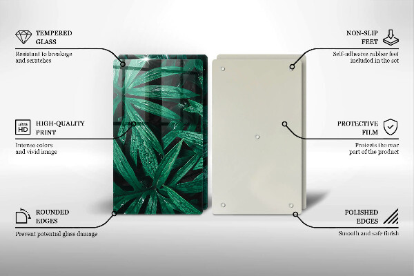 Copri piano cottura in vetro Foglie di piante