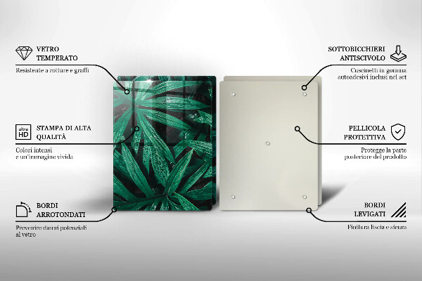 Copri piano cottura in vetro Foglie di piante