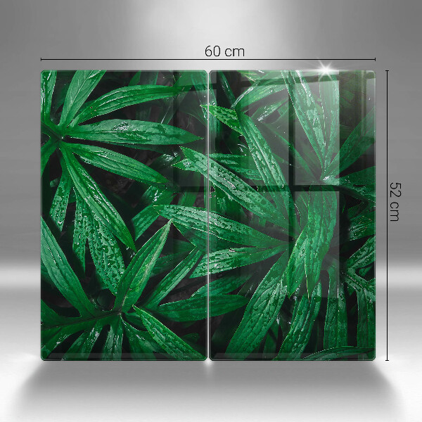 Copri piano cottura in vetro Foglie di piante