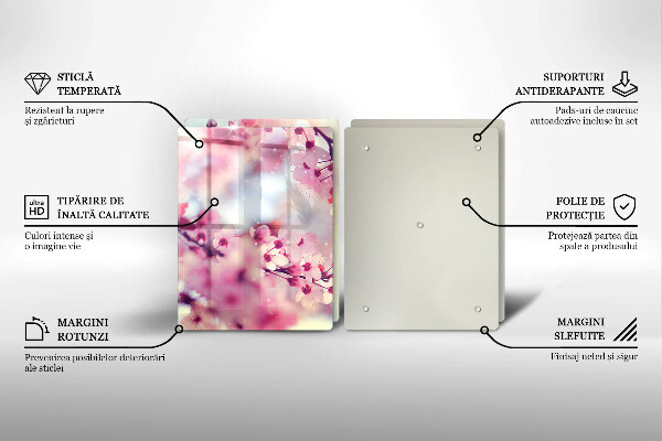 Copri piano cottura in vetro Fiori di melo naturali