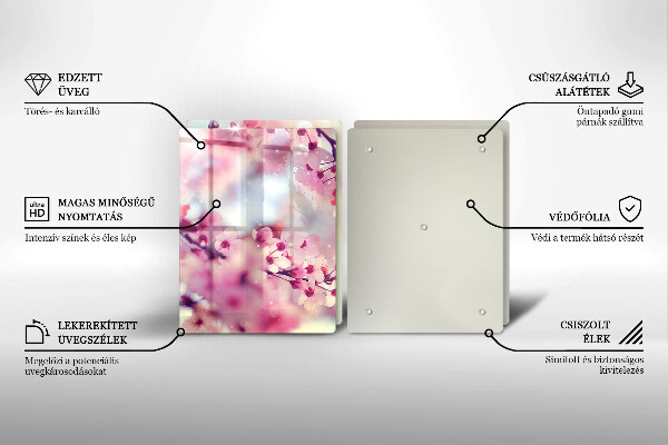 Copri piano cottura in vetro Fiori di melo naturali