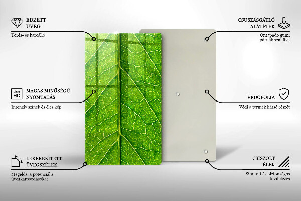 Copri piano induzione Vene delle foglie naturali