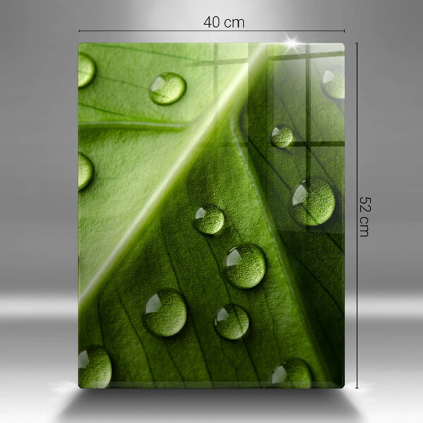 Copri piano induzione Rugiada e foglia della natura