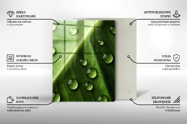 Copri piano induzione Rugiada e foglia della natura