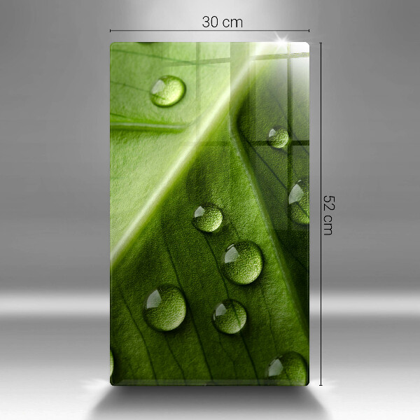 Copri piano induzione Rugiada e foglia della natura