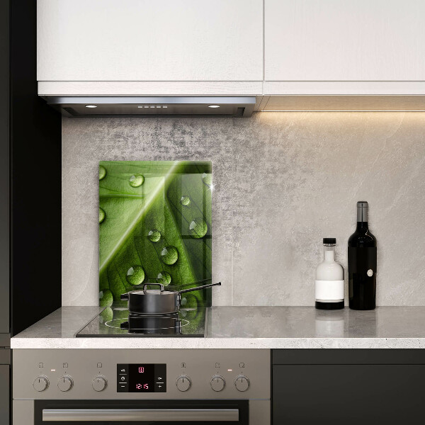 Copri piano induzione Rugiada e foglia della natura