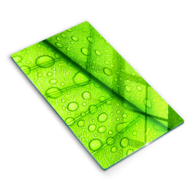 Copri piano cottura Primo piano di una foglia