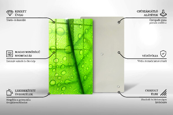Copri piano cottura Primo piano di una foglia