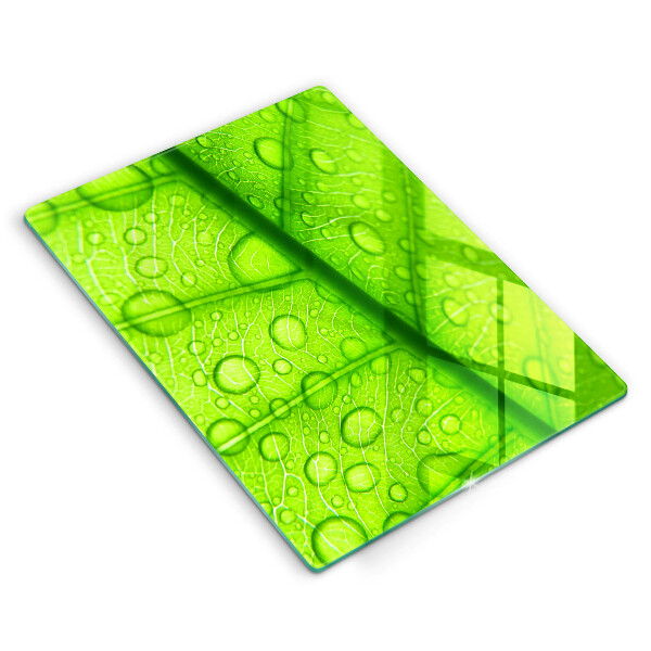 Copri piano cottura Primo piano di una foglia