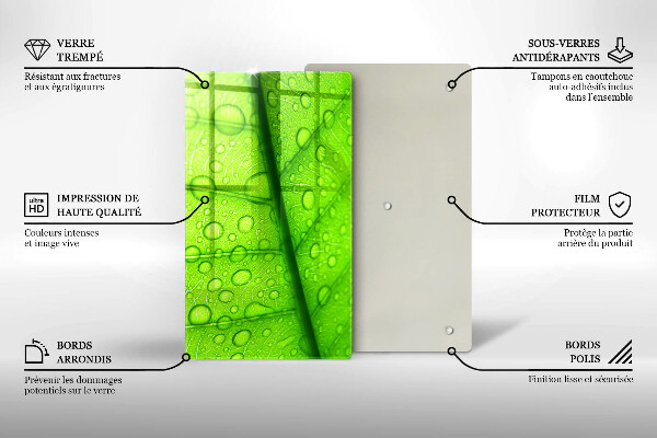 Copri piano cottura Primo piano di una foglia