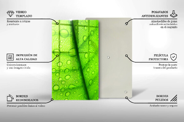 Copri piano cottura Primo piano di una foglia
