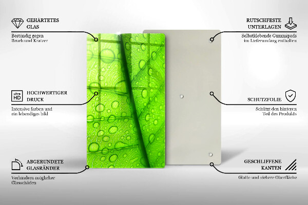 Copri piano cottura Primo piano di una foglia