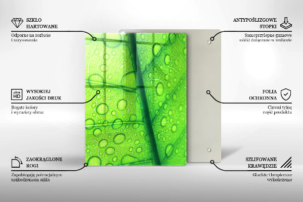 Copri piano cottura Primo piano di una foglia