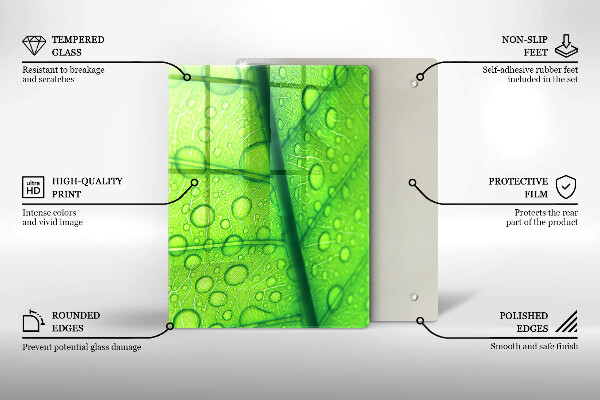 Copri piano cottura Primo piano di una foglia