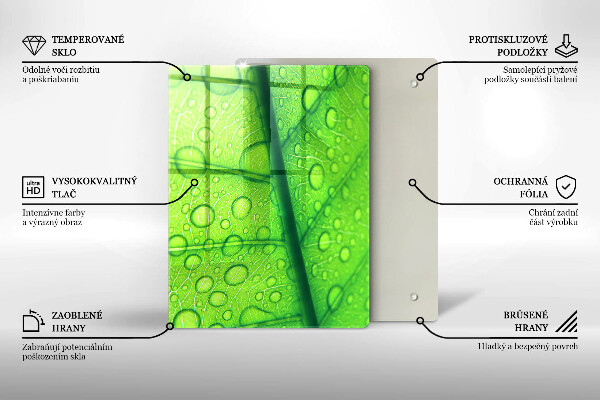 Copri piano cottura Primo piano di una foglia