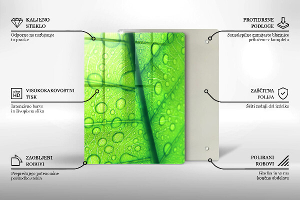 Copri piano cottura Primo piano di una foglia