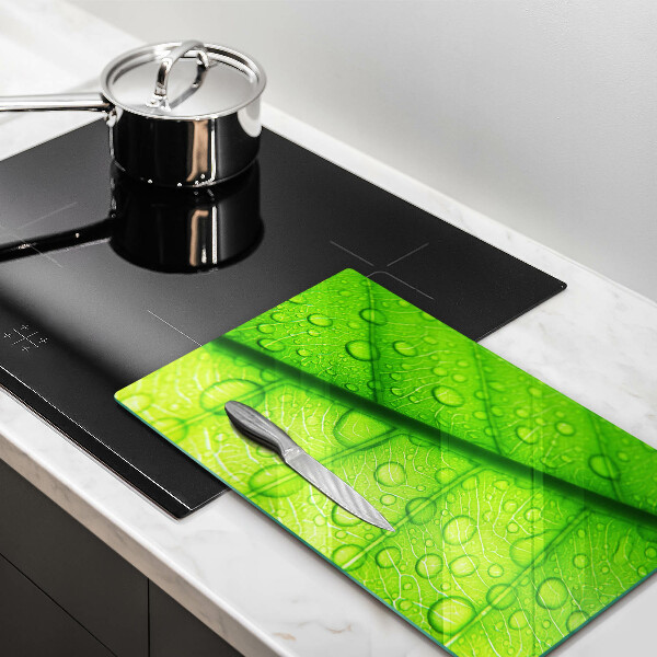 Copri piano cottura Primo piano di una foglia