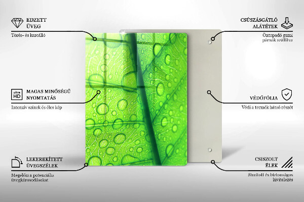 Copri piano cottura Primo piano di una foglia