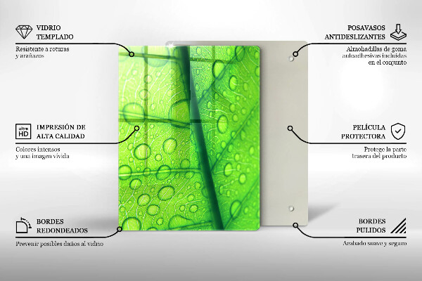 Copri piano cottura Primo piano di una foglia