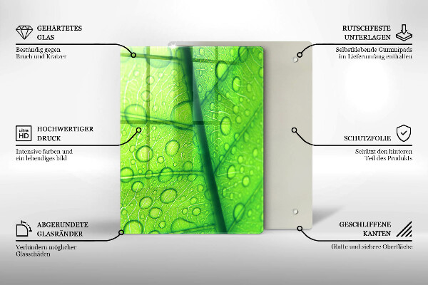 Copri piano cottura Primo piano di una foglia