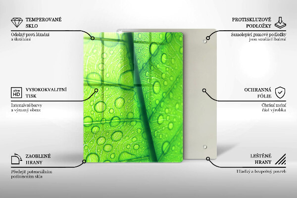 Copri piano cottura Primo piano di una foglia