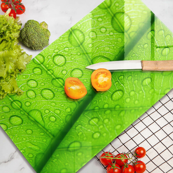 Copri piano cottura Primo piano di una foglia