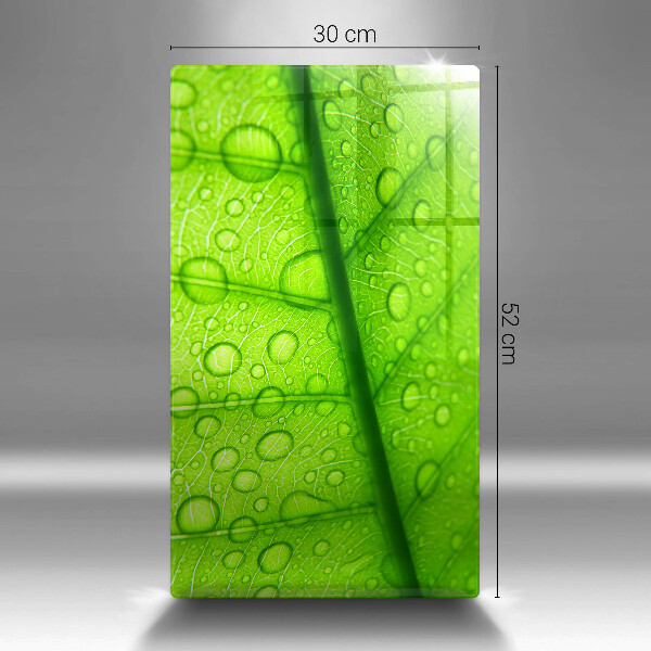 Copri piano cottura Primo piano di una foglia