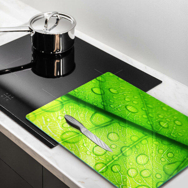 Copri piano cottura Primo piano di una foglia