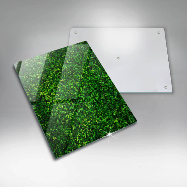 Copri fornello cucina Pianta con foglie piccole