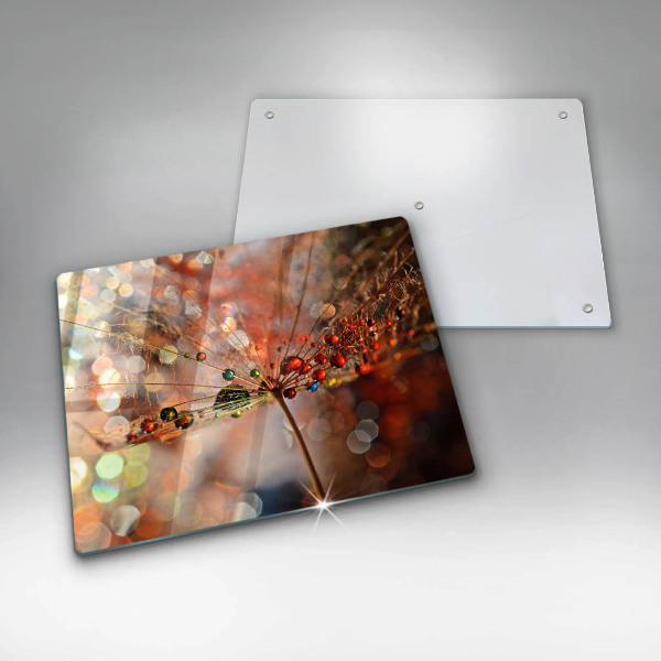 Copri piano cottura Dente di leone bagnato