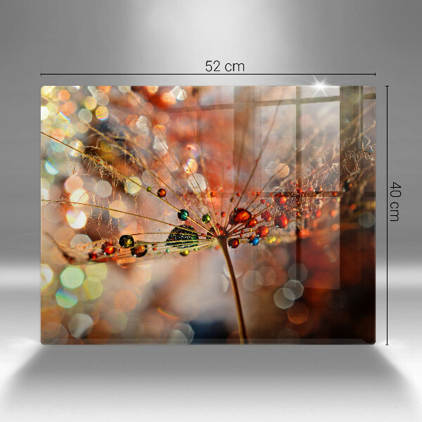 Copri piano cottura Dente di leone bagnato