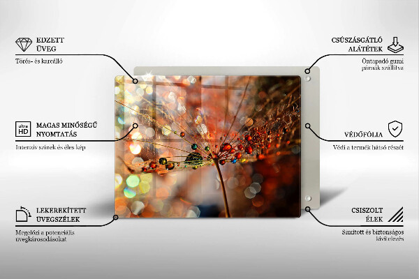 Copri piano cottura Dente di leone bagnato