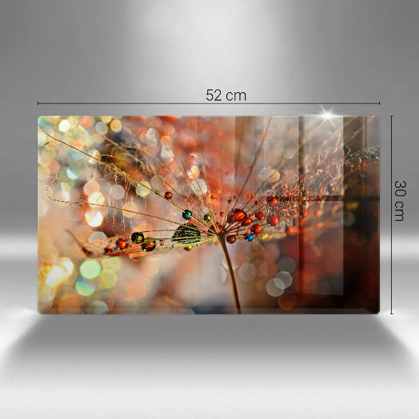 Copri piano cottura Dente di leone bagnato