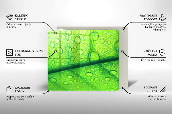 Copri piano cottura Primo piano di una foglia