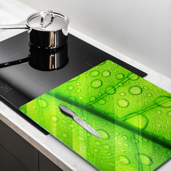 Copri piano cottura Primo piano di una foglia
