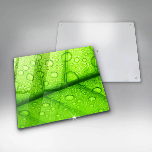 Copri piano cottura Primo piano di una foglia